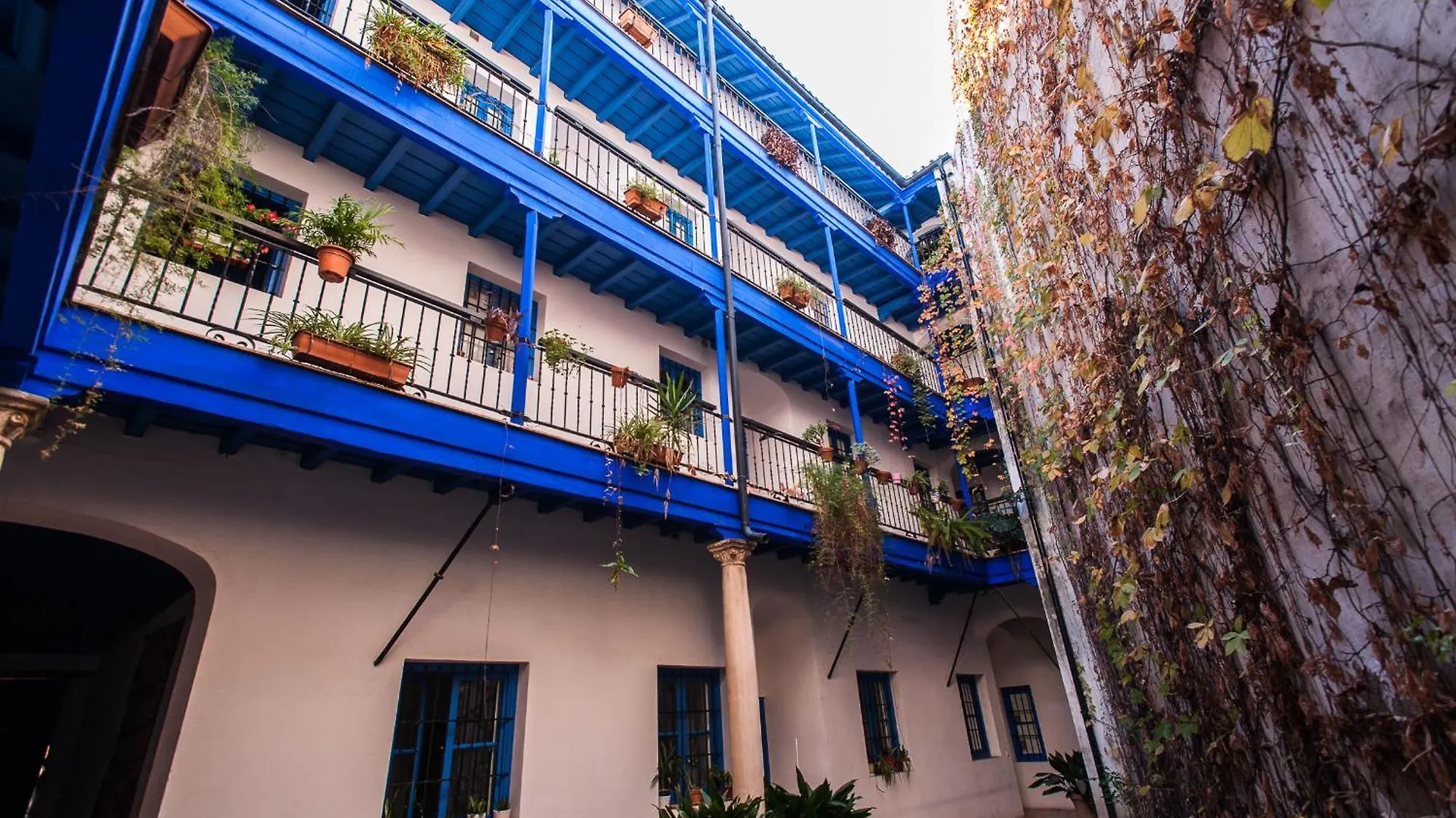 Dream Sevilla Apartment, Charming In The Center Apartment